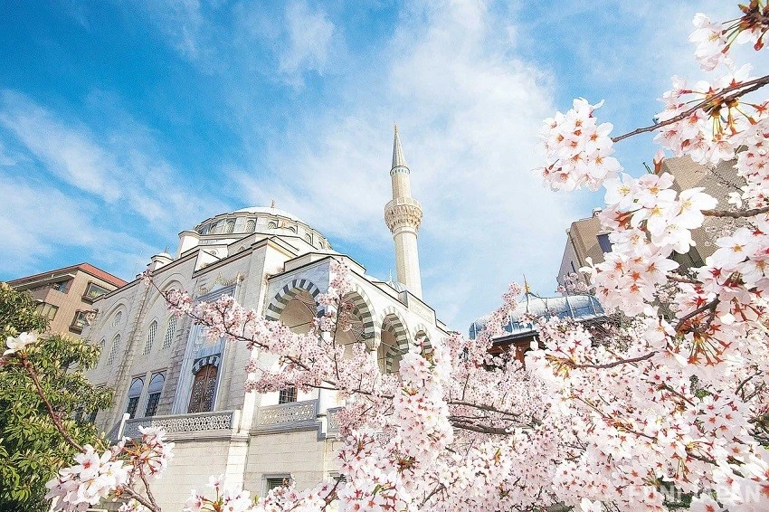 Halal Tour